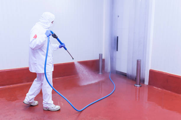 Professional Pressure Washing in June Park, FL