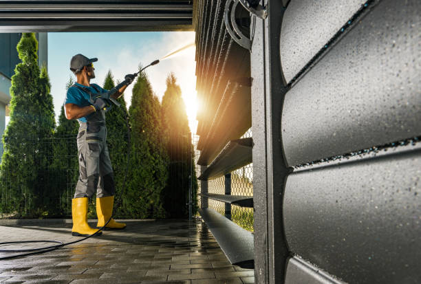 Best Gutter Cleaning  in June Park, FL