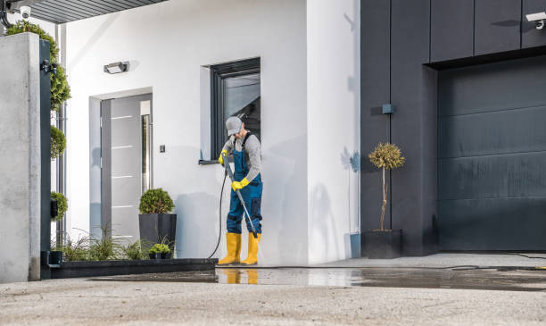 Best Sidewalk and Walkway Cleaning  in June Park, FL